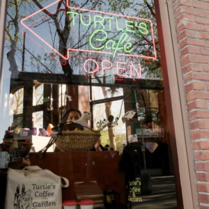 Turtles-Cafe.webp