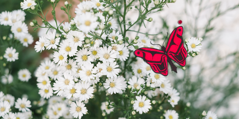 Special thanks to Shasta Cano-Martin for the original Ventures Butterfly artwork